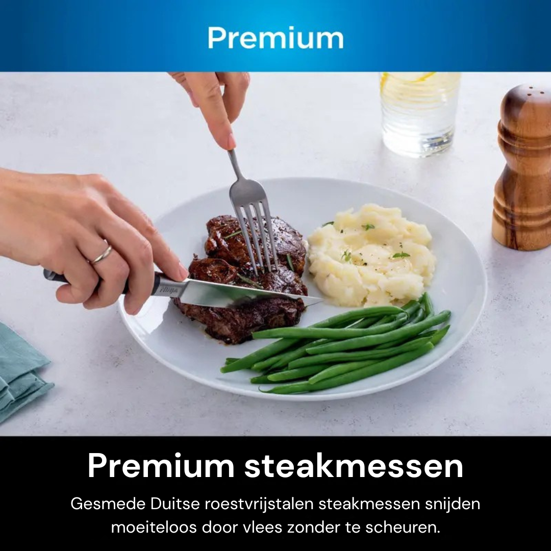 NeverDull Knife System – Premium 12-delig Set