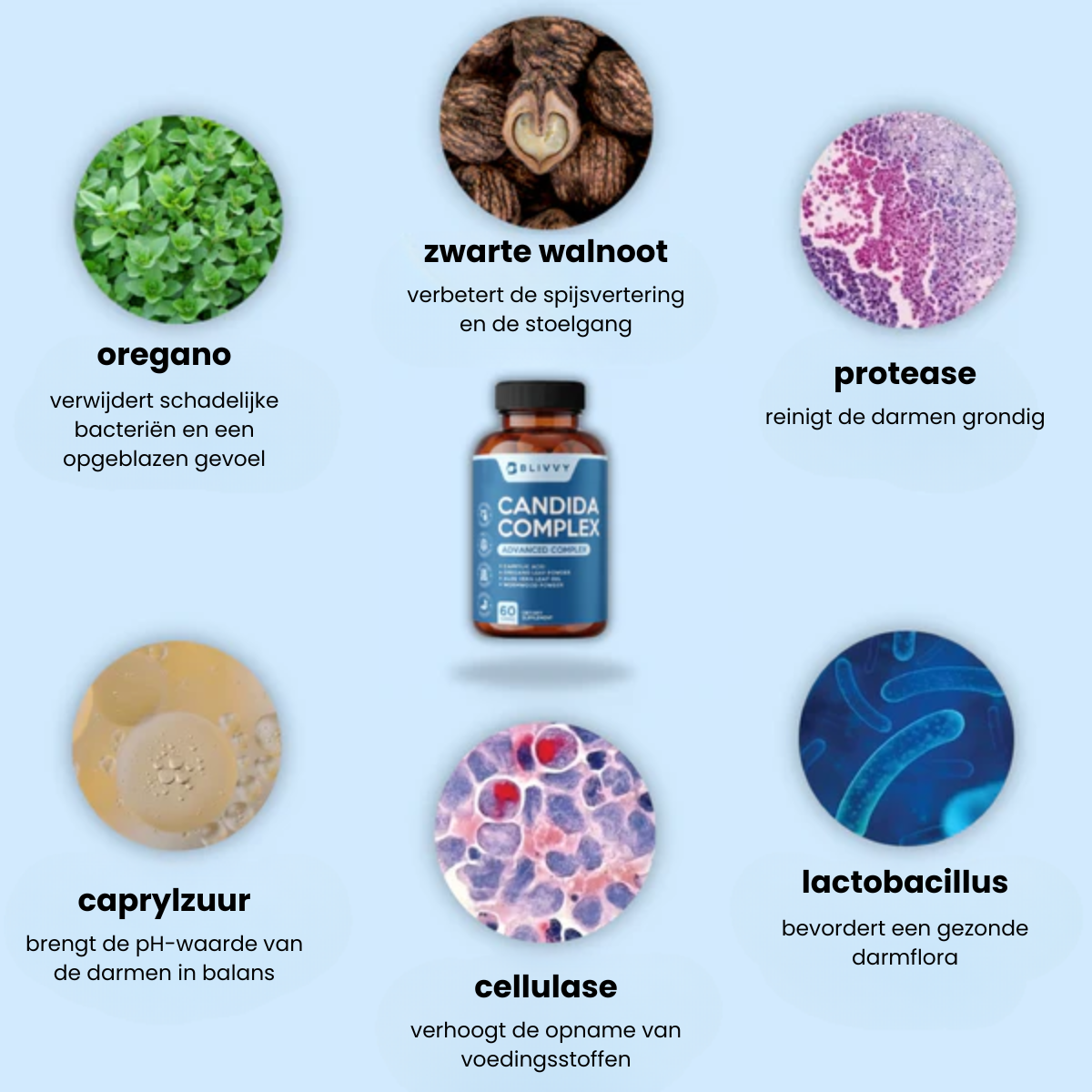 Blivvy™ - Candida cleanse