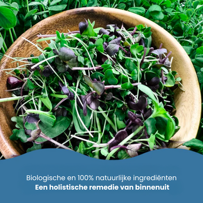 Blivvy™ - Gummies voor Candida